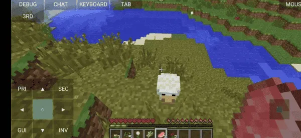 minecraft ss