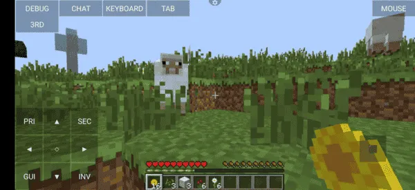 pojav minecraft s