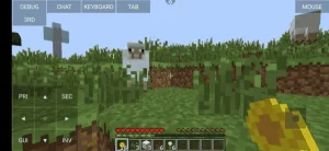 pojav minecraft ss